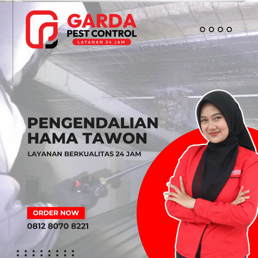Jasa Pembasmi Sarang Tawon di Bogor (Tawon Vespa & Lebah)