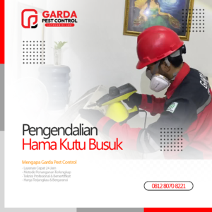 Jasa Pembasmi Kutu Kasur Terdekat & Terbaik di Bogor