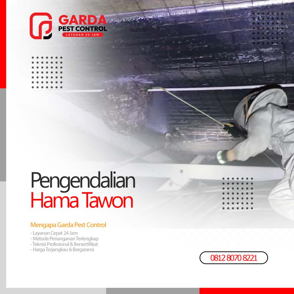 Jasa Pembasmi Sarang Tawon di Bogor (Tawon Vespa & Lebah)