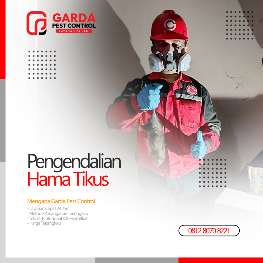 Jasa Pembasmi Tikus Terbaik di Bogor Kualitas Terjamin