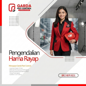 Jasa Anti Rayap di Bogor Terbaik