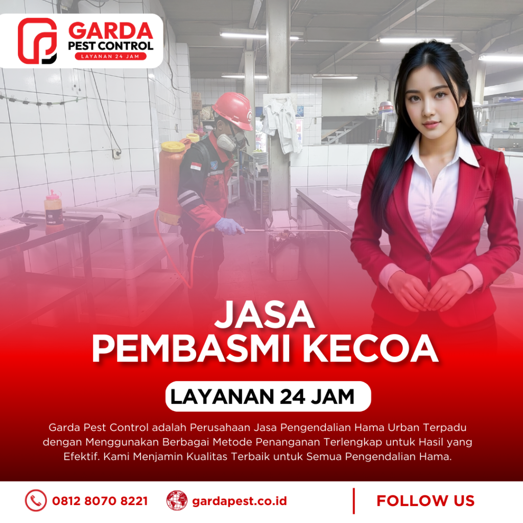 Jasa Pembasmi Kecoa di Bogor (Rumah, Mobil & Apartemen)
