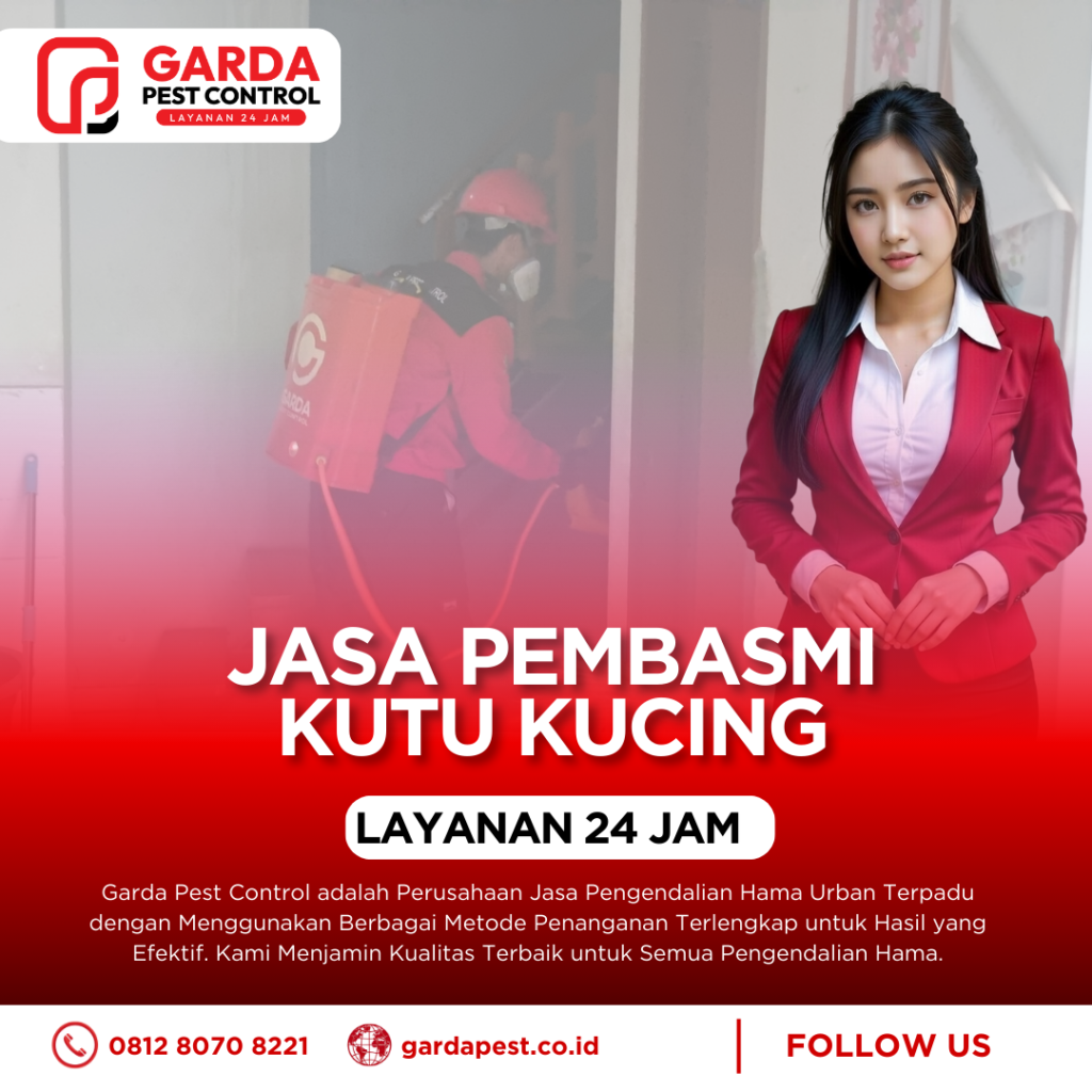 Jasa Pembasmi Kutu Kucing Terdekat di Bogor