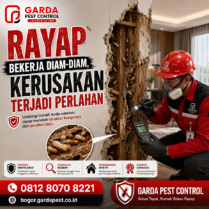 Jasa Anti Rayap untuk Bangunan Komersial di Bogor