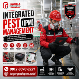 Jasa Pest Control Untuk Restoran Dan Cafe di Bogor