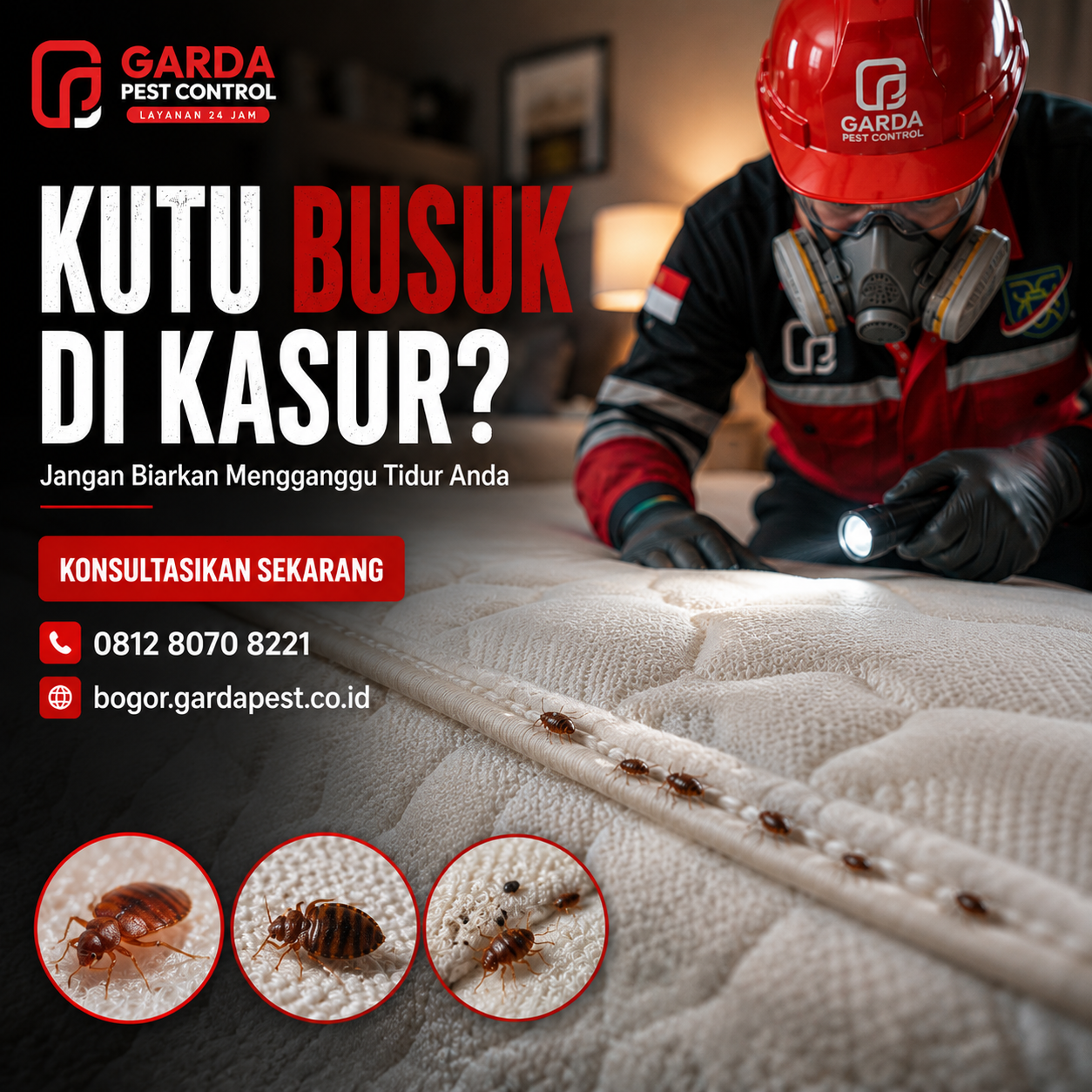 Biaya Jasa Pembasmi Kutu Kasur di Bogor: Estimasi Tarif dan Panduan Layanan