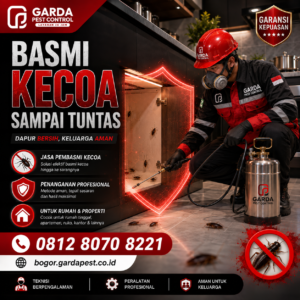 Pembasmi Kecoa Bogor Berpengalaman dengan Penanganan Profesional