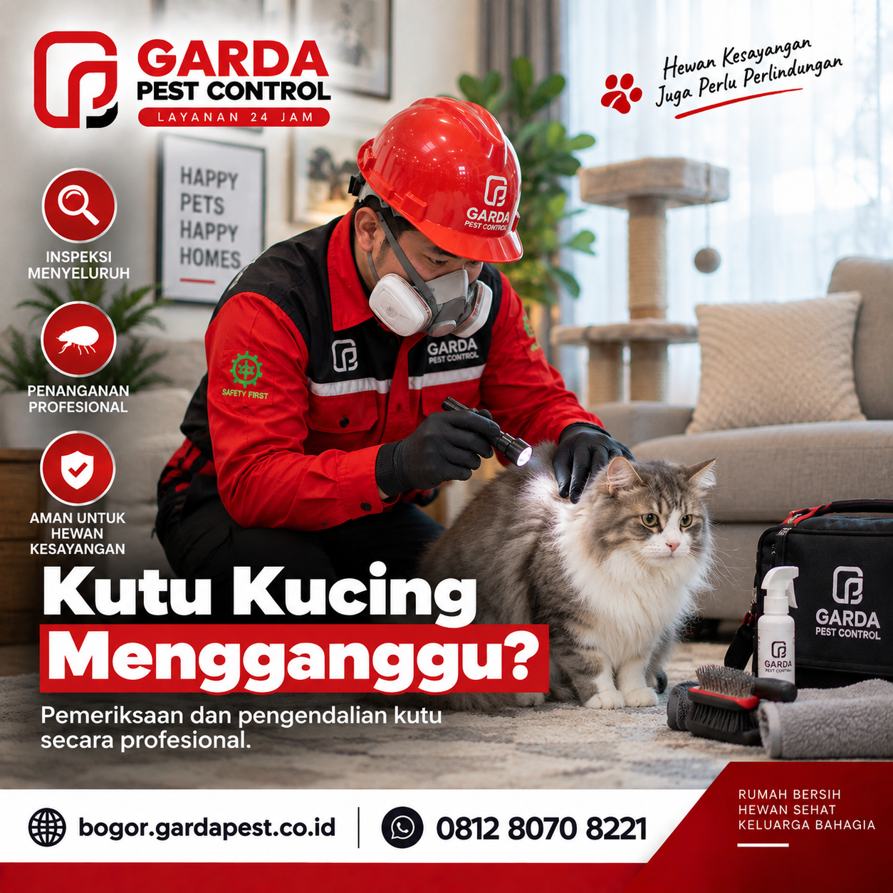 Jasa Pembasmi Kutu Kucing Bergaransi dan Profesional di Bogor
