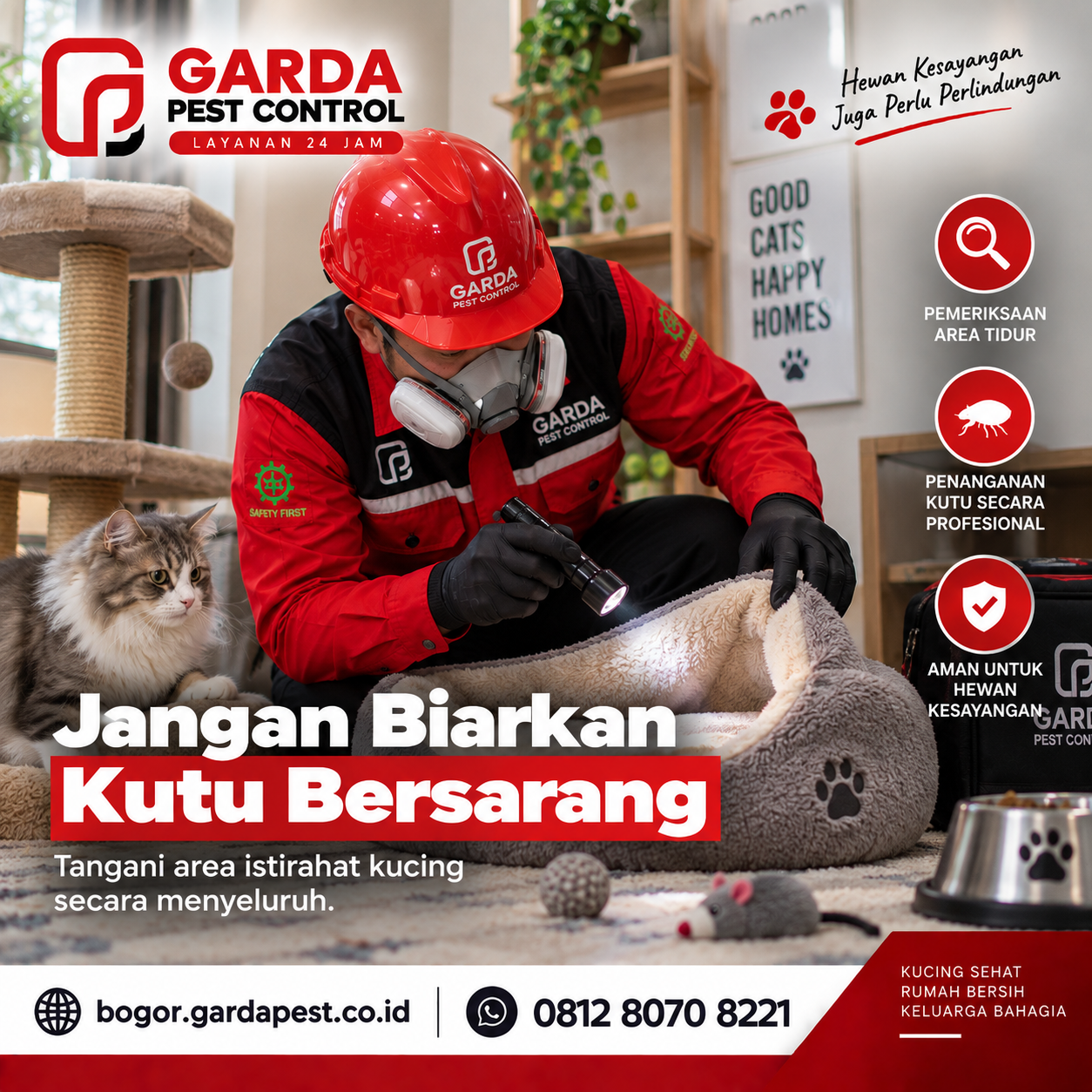 Jasa Pembasmi Kutu Kucing Bergaransi dan Profesional di Bogor