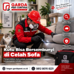 Jasa Pembasmi Kutu Kucing Ruangan Terdekat di Bogor